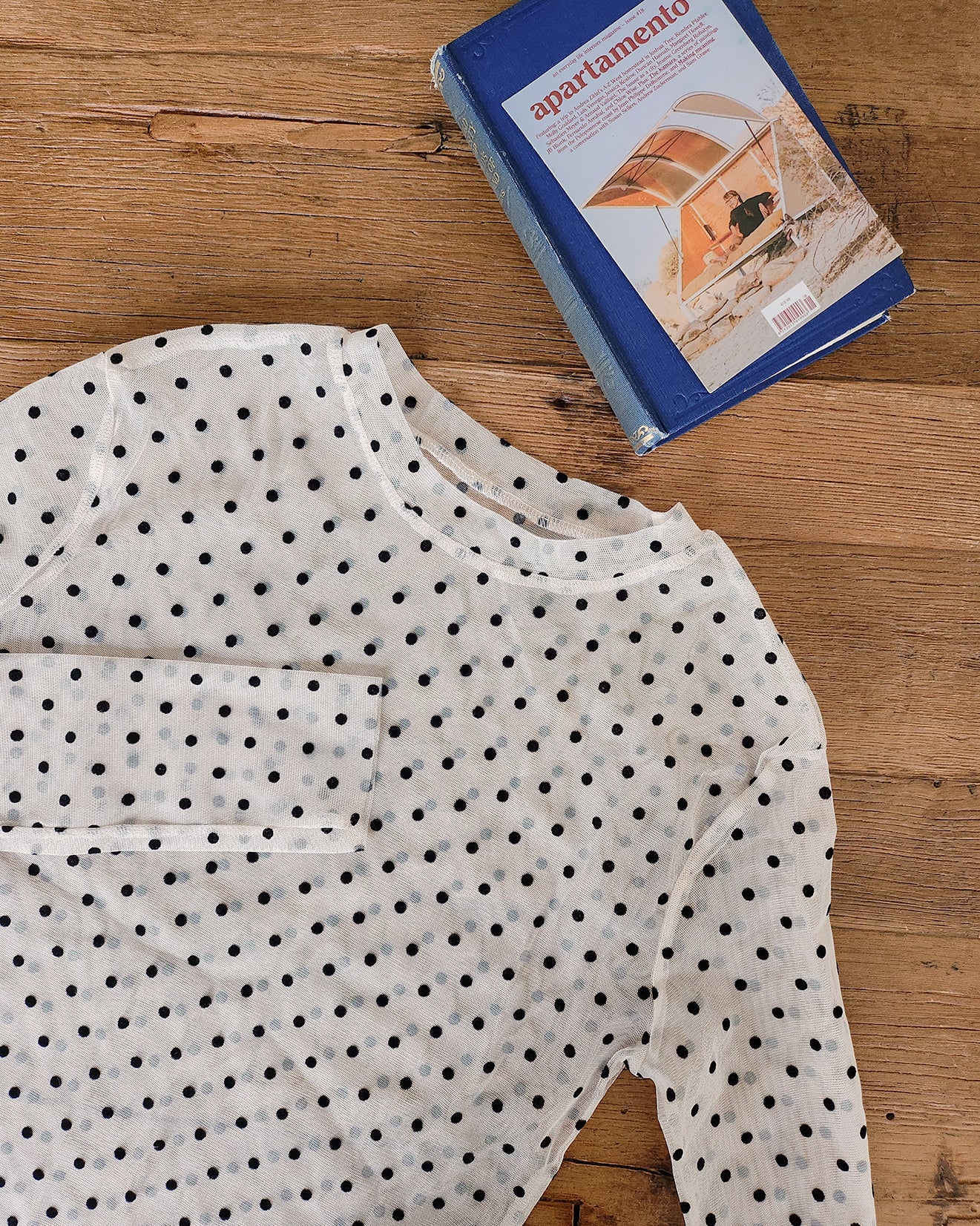 dot sheer long sleeves T