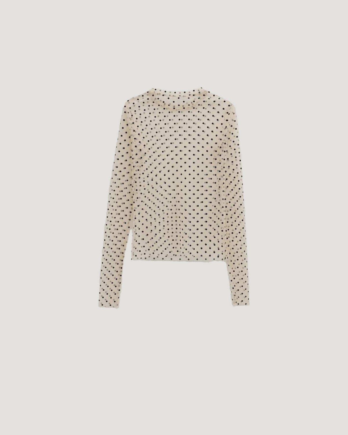 dot sheer long sleeves T