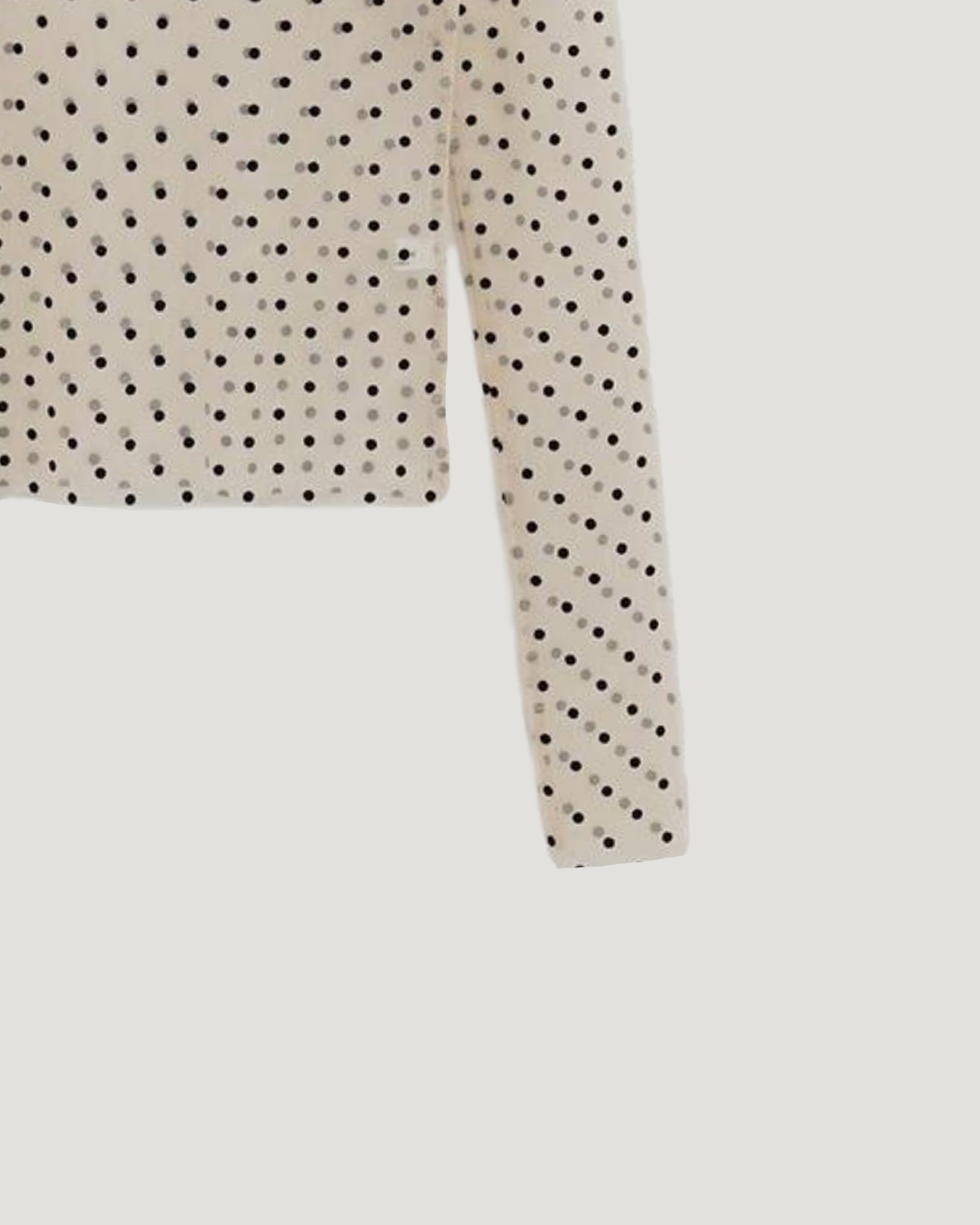 dot sheer long sleeves T