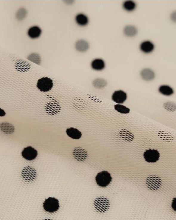 dot sheer long sleeves T