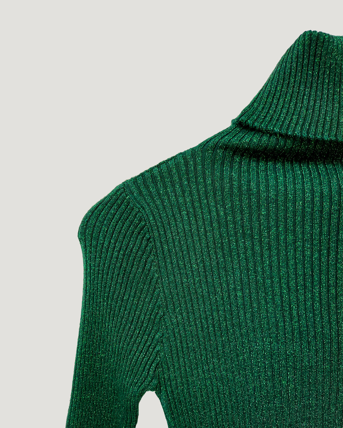 glitter turtleneck rib knit