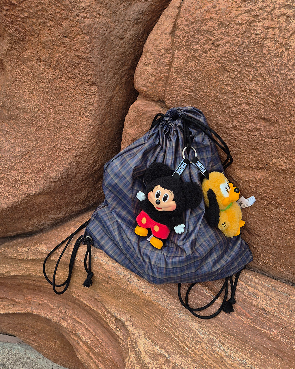 check knapsack
