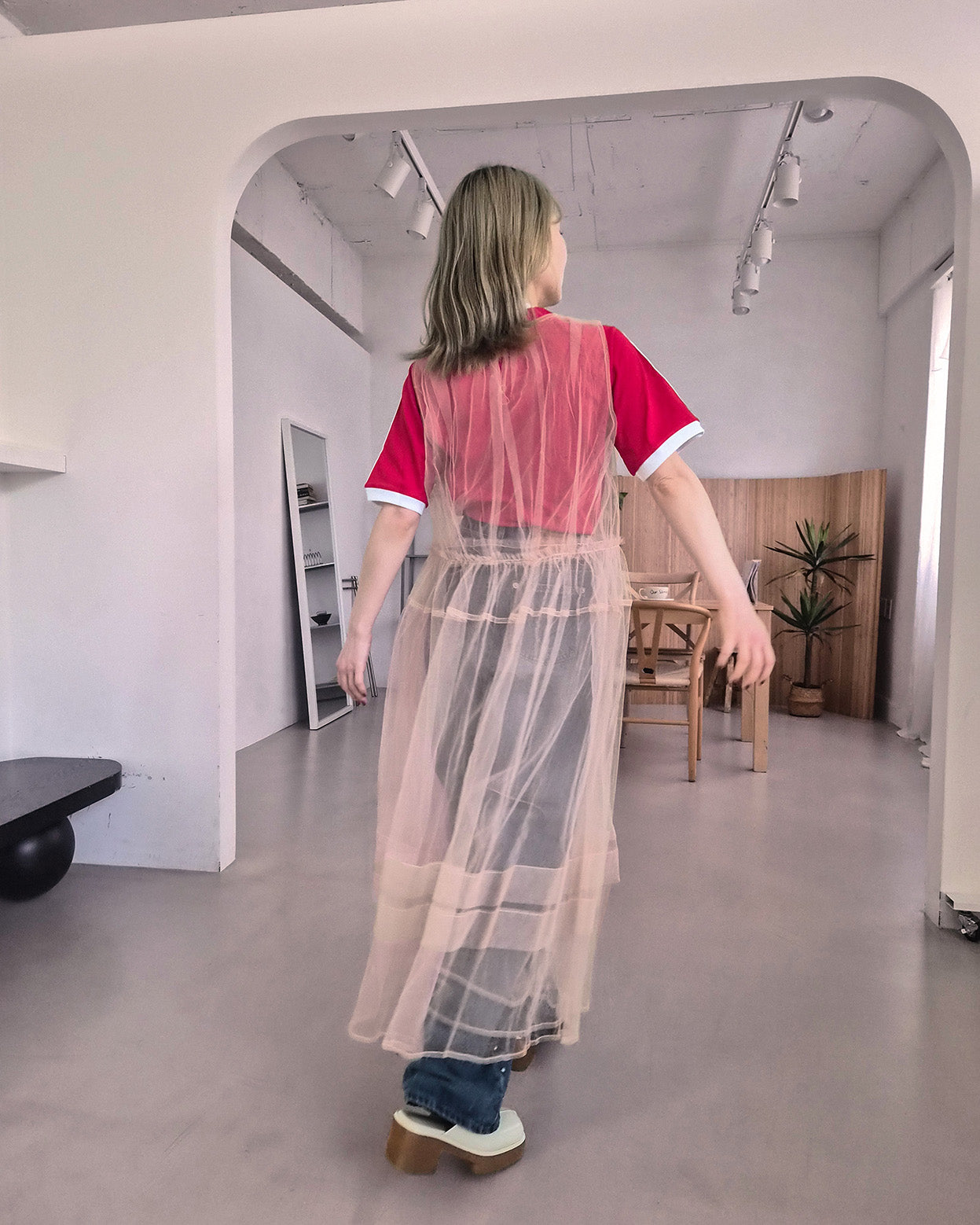 sheer layered waist frill tulle dress