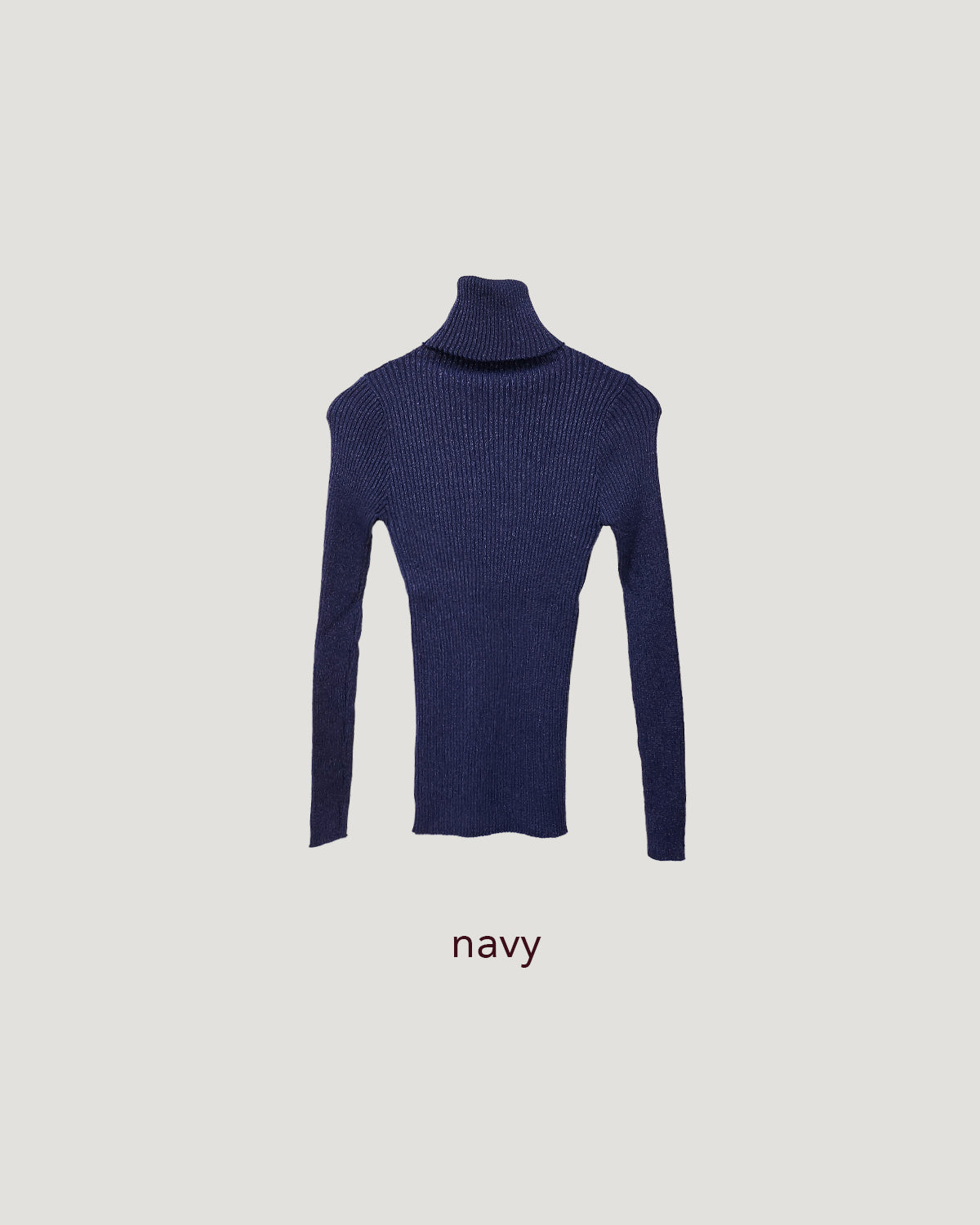 glitter turtleneck rib knit