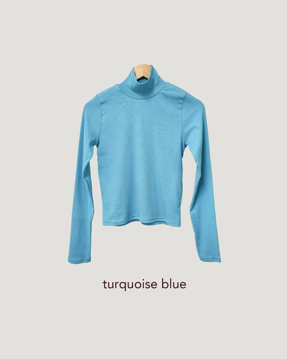 color turtleneck T