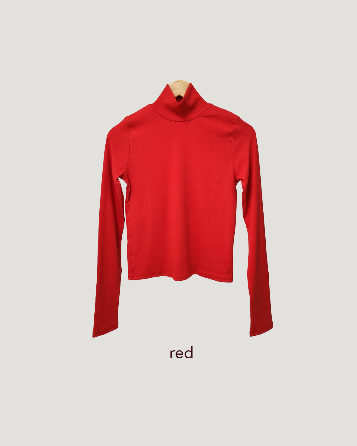 color turtleneck T