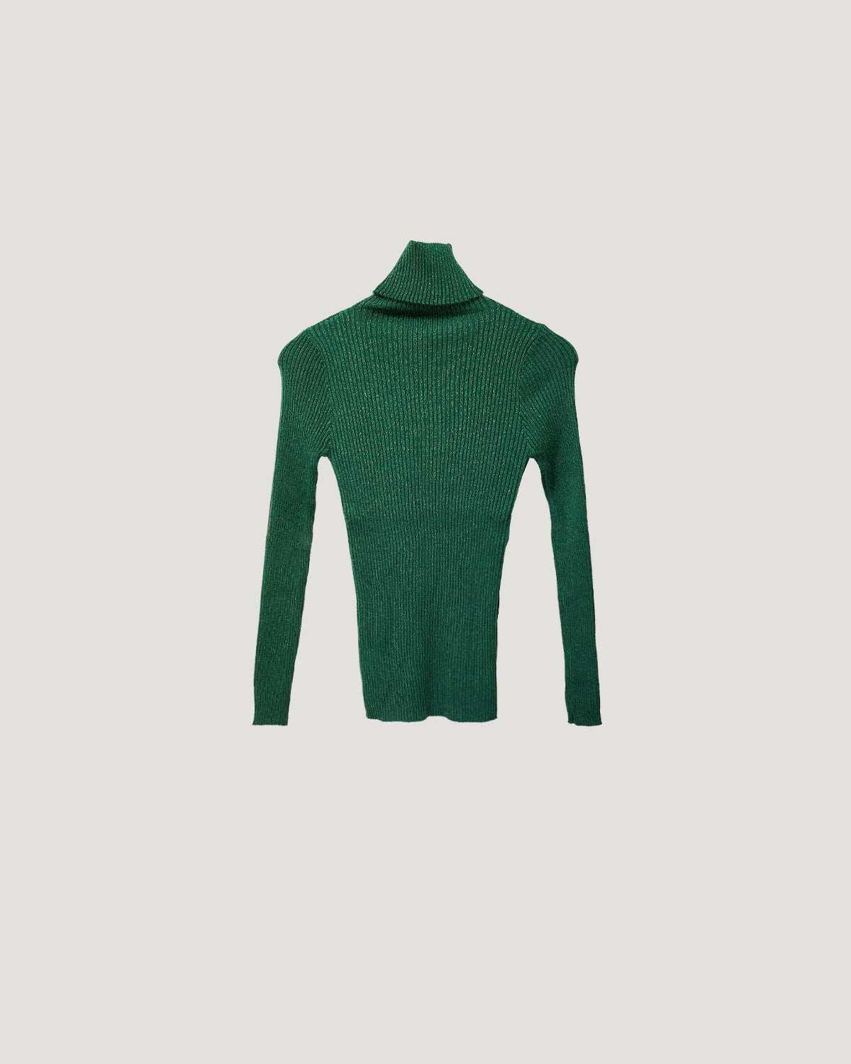 glitter turtleneck rib knit