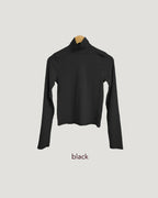 color turtleneck T