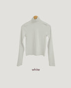 color turtleneck T